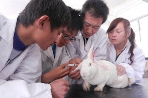 畜牧兽医专业教育教学