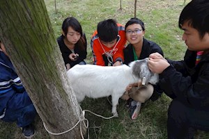 畜牧兽医专业实习实训