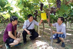 园林技术专业教研科研