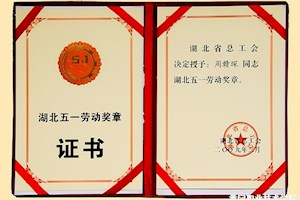 商务英语专业教育教学