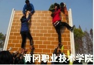 税务专业教育教学