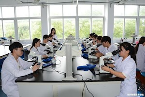 医学检验技术教育教学