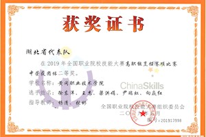 2019年全国职业院校技能大赛团体二等奖